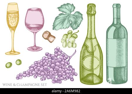 Vector set of hand drawn pastel grapes, champagne, bottle of wine, glass of champagne, glass of wine stock illustration Stock Vector
