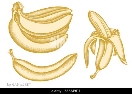 Vector set of hand drawn pastel bananas stock illustration Stock Vector