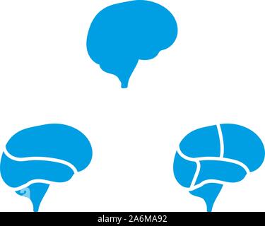 Human brain, cerebrum glyph icon, human organ illustration isolated on white background Stock Vector