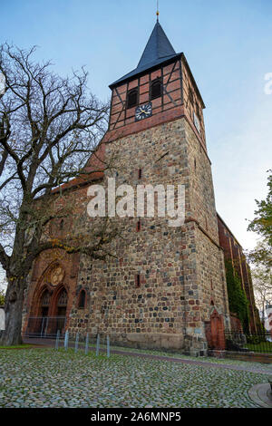 Saint Mary Church of Strasburg Uckermark within Vorpommern-Greifswald district in Germany, built from field stones and half-timbering with bricks Stock Photo