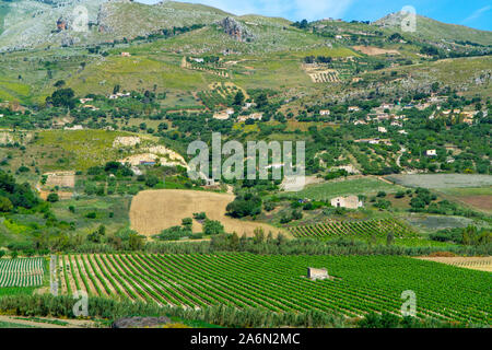 Landscape with vineyards, pastures and farms near Trapani, Sicily, agriculture in South Italy Stock Photo