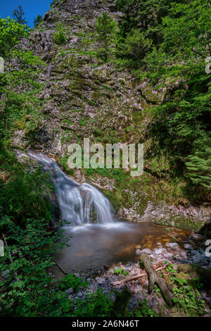 Cascades of the all saints waterfalls, black forest, Germany Stock Photo