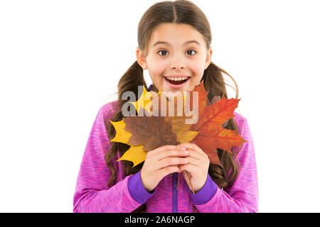 Pure feelings. school girl leaf bunch. trip to canada. lets do maple syrup. small girl maple leaves. surprised child feel unity with nature. autumn colors. beauty of fall season. happy childhood. Stock Photo