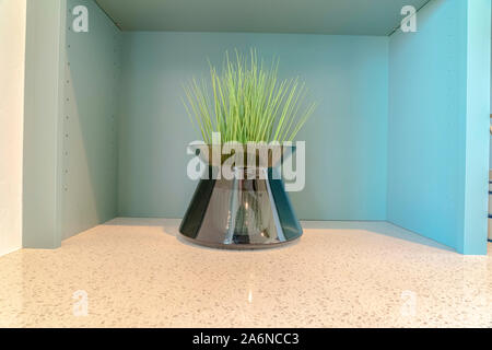 Close up of green grass plant on marble bench Stock Photo