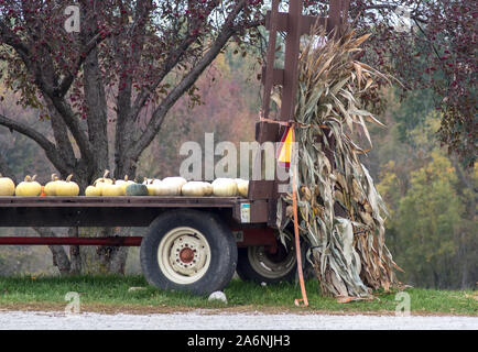 A flat bed trailer holds a variety of pumpkins and gourds, and a pile of corn stalks too. perfect for fall decorating Stock Photo