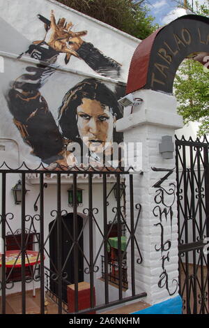 Dramatic image of a flamenco dancer on a tavern wall in the Sacromonte district of Granada, Andalusia, Spain Stock Photo