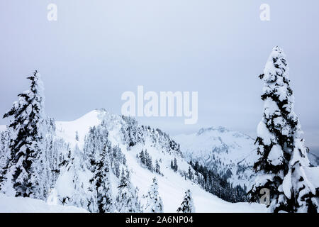 Backcountry snow shoe route along the North Cascades. Artist Point, Mount Baker Snoqualmie National Forest, Washington State, USA Stock Photo