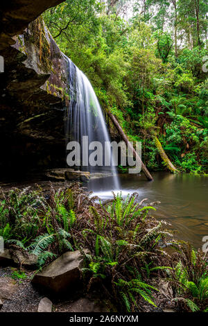 Lower Kalimna Falls, near Lorne, Victoria, Australia. This beautiful waterfall is part of the Great Otway National Park and sits close to the Great Oc Stock Photo