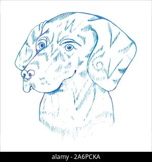 Neon picture of the dog. Labradors head. Stock Vector