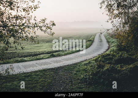 Small way with morning fog Stock Photo