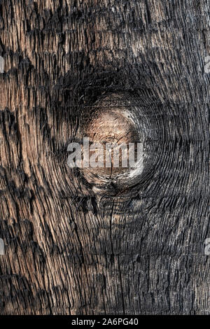 Surface of an old round board with a knot Stock Photo