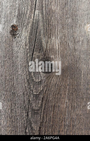 Surface of an old round board with a knot Stock Photo
