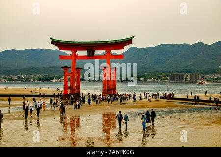 Tourists walk on the beach to the torii gate, at low tide no longer floating in the sea off Miyajima Island, Japan. Stock Photo