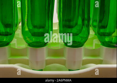 Empty wine bottles in a plastic dryer on the table Stock Photo