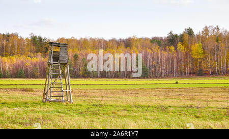 Hunting tower in a field with autumnal forest in background, selective focus. Stock Photo