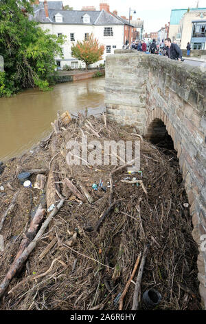 Hereford, Herefordshire, UK - Monday 28th October 2019 - A large amount of assorted river debris is now blocking the centre arches of the old medieval Wye Bridge in Hereford as the River Wye remains high following recent heavy rain upstream. The Wye Bridge is now closed to traffic as the Environment Agency monitor the build up of debris. Photo Steven May / Alamy Live News Stock Photo