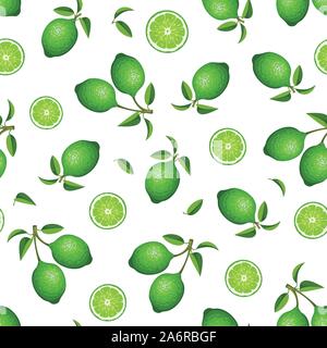 Vector seamless pattern with green limes on a white background. Stock Vector