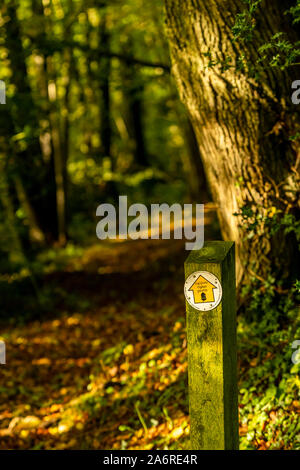 Offa's Dyke path footpath sign at Cadora Woods, Forest of Dean. Autumn, Wye Valley Stock Photo