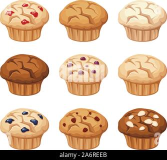 Vector set of various muffins with blueberry, almond, chocolate isolated on a white background. Stock Vector