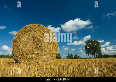 Round hay bale on the field and white clouds on blue sky Stock Photo