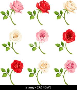 Beautiful Pink Rose Stems. Isolated on White Background. Vector  Illustration. EPS10 Stock Vector Image & Art - Alamy