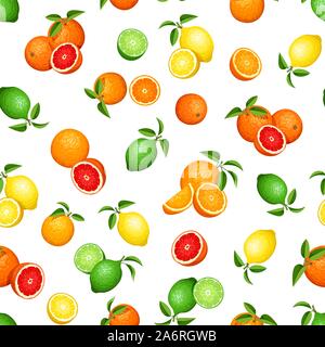 Vector seamless pattern with citrus fruits (oranges, lemons, limes and grapefruits) on a white background Stock Vector
