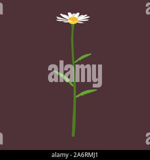 Chamomile side view vector icon flower nature. Daisy floral plant yellow blossom leaf. Green herbal grass. Above decoration beauty Stock Vector