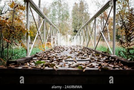 an empty bridge leading to a forest covered in leaves in fall Stock Photo