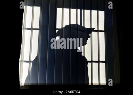 Silhouette male intruder,outside a window with vertical blinds Stock Photo