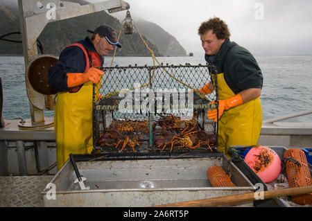 Crayfishing boat Mystique operating out of South Bay, Kaikoura, New Zealand. Spiny rock lobster (Jasus edwardsii) or crayfish Stock Photo