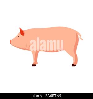 Pig side view flat vector illustration. Livestock farming, domestic animal husbandry design ...