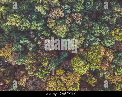 Aerial view of colorful autumn forest, dim image view from directly above Stock Photo