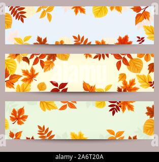 Set of three vector banners with colorful autumn leaves. Stock Vector