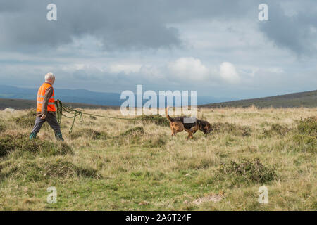 man tracking with bloodhound Stock Photo
