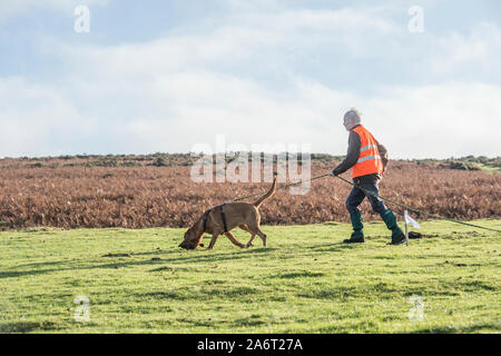 man tracking with bloodhound Stock Photo