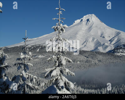 A winter view of a snow covered Mt. Hood, Oregon. Snow covered trees in the foreground and clear blue sky. South Side – Mt. Hood National Forest. Stock Photo