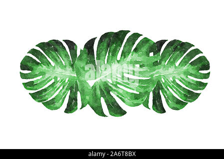 Digital art painting - green leaves of a tropical flower monstera isolated on white background (watercolor effect) Stock Photo