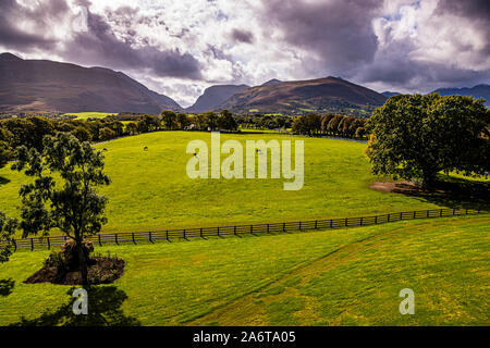 Horses grazing on lush green paddocks from the Gap of Dunloe. View from the Dunloe Hotel near Killarney, Ireland Stock Photo