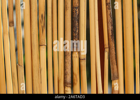 Privacy Screen For Garden Balcony And Terrace made of bamboo yellow dry stick straw as abstract texture background Stock Photo