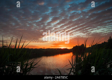 Beautiful waves and ripples of Altocumulus undulatus clouds at a colorful sunset over a lake in The Netherlands. Stock Photo