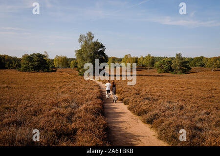 Haltern am See, Muensterland, North Rhine-Westphalia, Germany - Westruper Heide, a young couple with dogs walking hand in hand on a path through the h