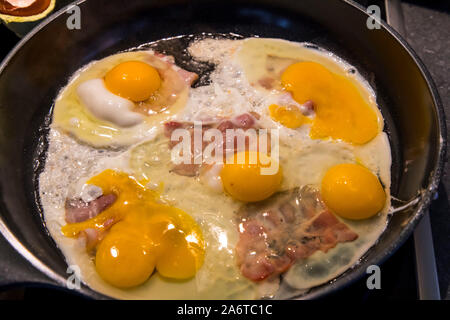 Fried eggs and ham, bacon, fry in a pan, Germany Stock Photo