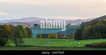 Sunlit autumn trees at sunset. Panoramic landscape. White packaged hay on green meadow, field and yellow illuminated tree row on hill. Mountain peaks. Stock Photo