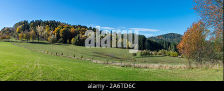 Panoramic autumn scenery. Green meadow with line of small young trees. Azure sky. Natural sunlit mountain grassland in rural landscape. South Bohemia. Stock Photo