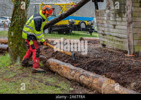Young loggers working with an ax on a playground, after cutting tree trunk with chain saws in rainy day. Stock Photo