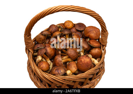 Edible mushrooms collected from the forest in a wicker basket, isolated on a white background with a clipping path. Stock Photo
