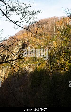 Autumn deep forest in Jizera Mountains, Liberec Region, Czech Republic Stock Photo