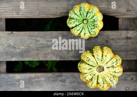 two yellow glowing pumpkins lie on wooden slats as background Stock Photo