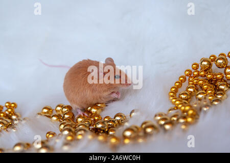 Little mouse with holiday decorations on a light background Stock Photo