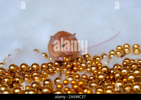 Little mouse with holiday decorations on a light background Stock Photo